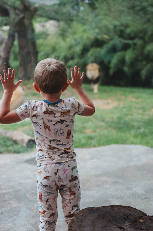 Zoo Crew Short Sleeve + Pants Set